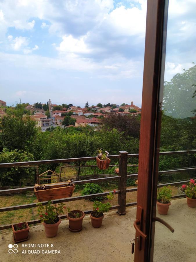 Guest House David Sighnaghi Exterior foto
