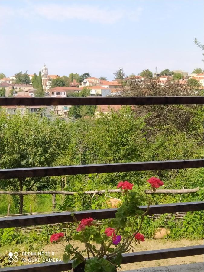 Guest House David Sighnaghi Exterior foto